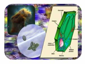 Astronomia (Muestra)
